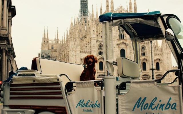 Mokinba Hotels Montebianco