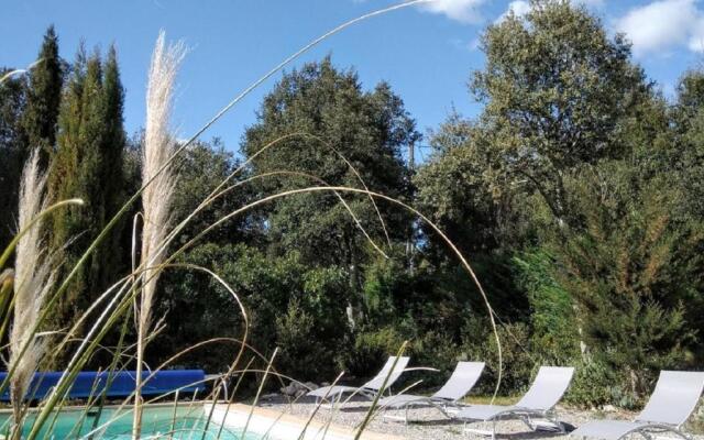 la Mésange Bleue du VERDON