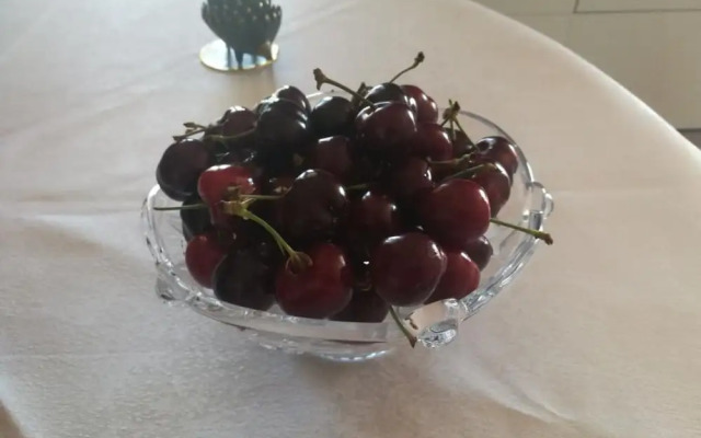 Chambre Chez l'Habitants Bienveillant