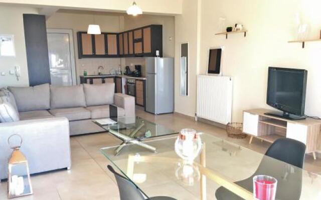 Comfortable Apartment