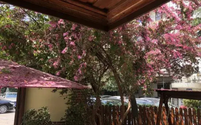 Huxiangyi Internationa Youth Hostel Changsha Yuelushan