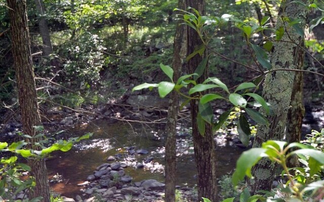 Rosies Creekside Retreat - 3 BR Escape!