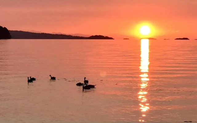 NeckPoint Treasure