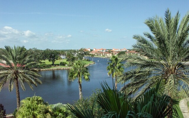 Yacht Harbor