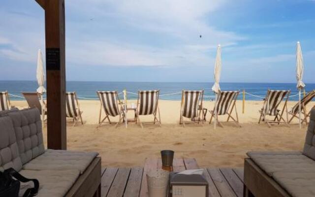 Shifting Sands Surf Camp