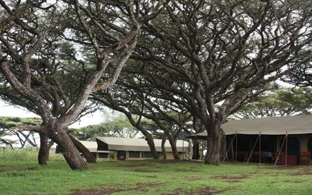 Lemala Ngorongoro Camp