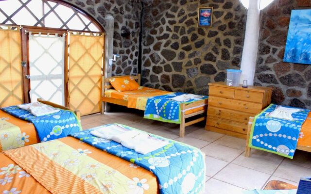 Galapagos Penguin Hostel