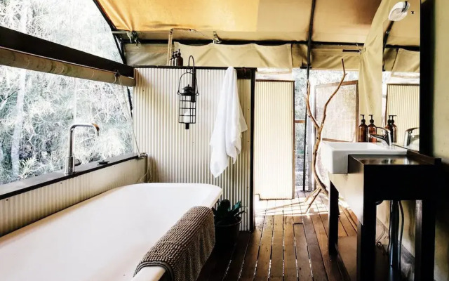 Paperbark Camp