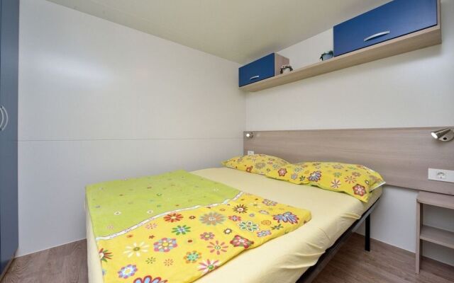 Iva - Great Garden - H