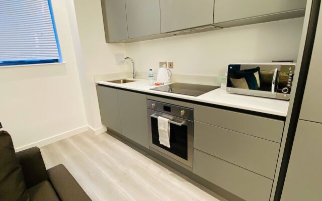 Cosy Exec Apartment