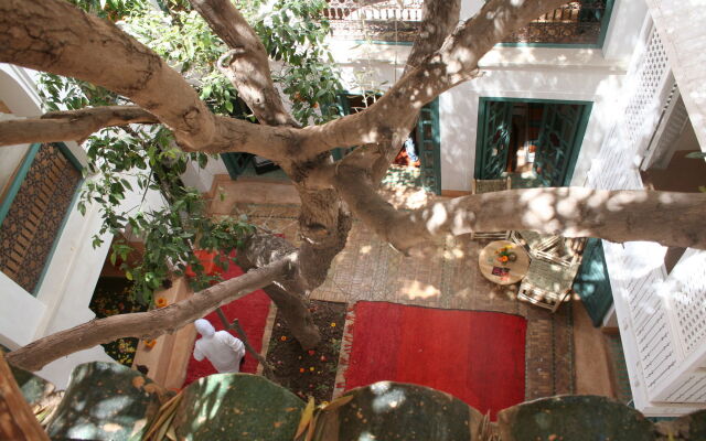 Riad Dar Zitouna en Exclusivité