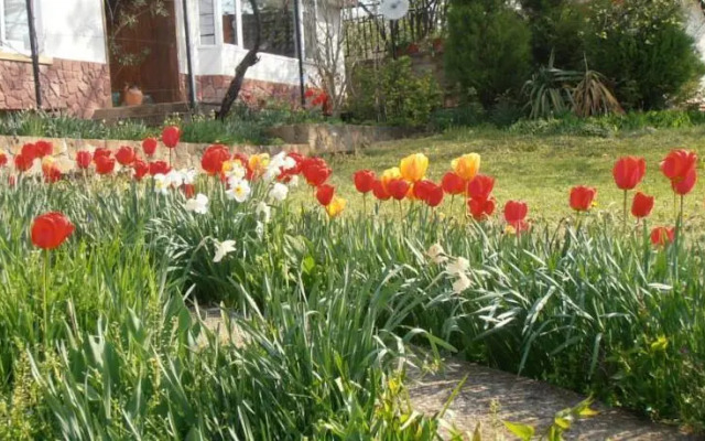 Venikula Guest House