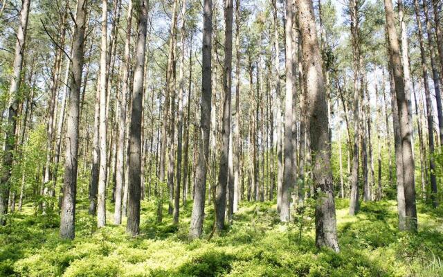 Feriendomizil Prerow