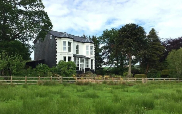 The Royston At Llwynaire