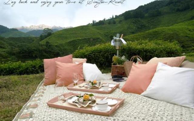 Singtom Tea Estate & Resort