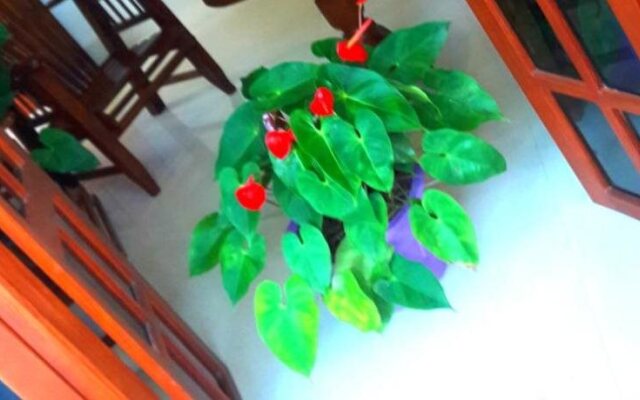 Fresh Air Villa Guest House
