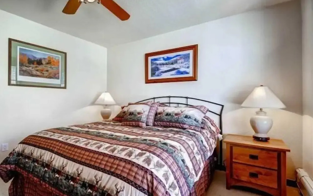 3 Bedroom Mountain View Condo Located in Historic Downtown Breckenridge with Hot Tub Access