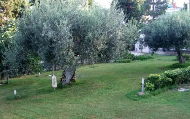 B&B Bentu Estu