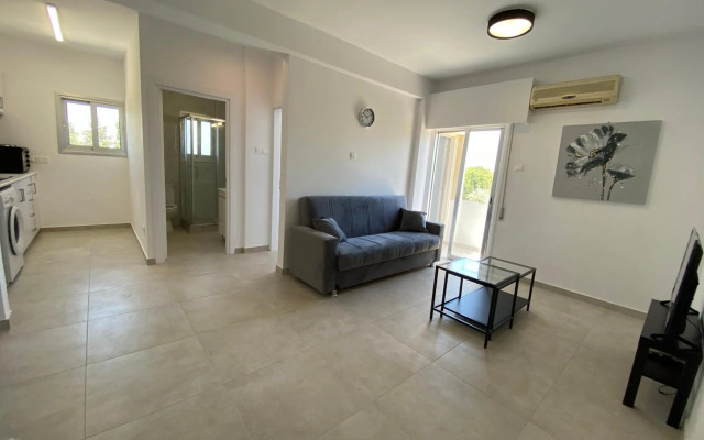 Renovated modern 1-bedroom apartment with view