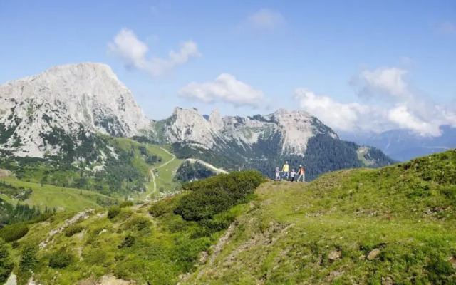 Cosy Flat in the Alps