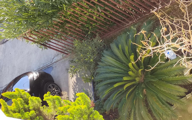 Жемчуг (Адлер)