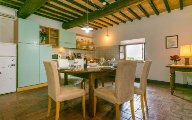 Giuggiolo - Giuggiolo 5 (PGG174)