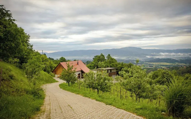 Vineyard Cottage Pavlin 3