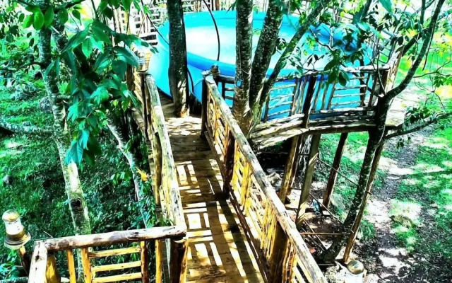 Tree House with a Pool