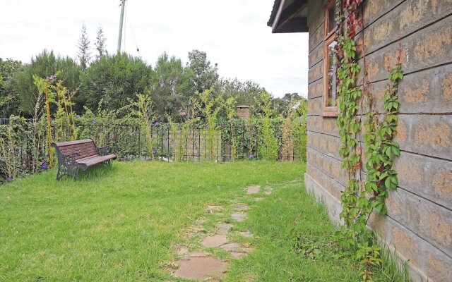 Olesamara Collection