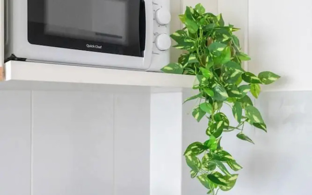 Fliphaus Serrano 1100