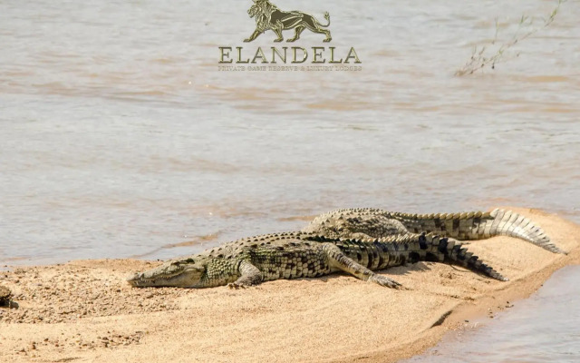 Elandela Private Game Reserve & Luxury Lodge