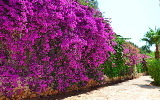 Villa Sahin 1 Duplex