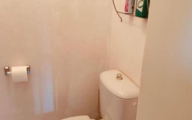 LA BASTIDE DU GINESTE - Olives