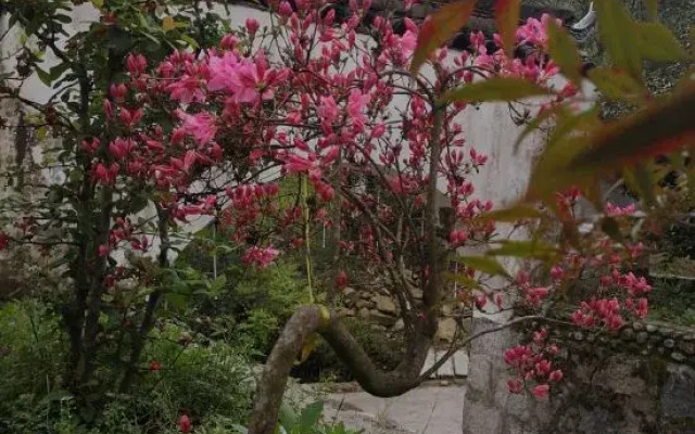 Tiantangzhai Laozhujia Farmhouse Inn