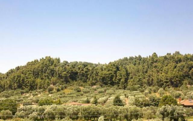 Olive Tree Apartments