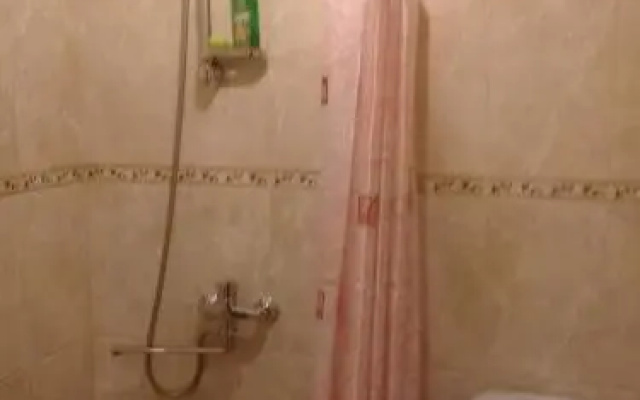 Guest House u ozera na Vyborgskom — фото