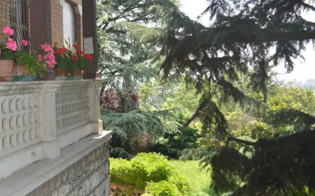 B&B Panoramica