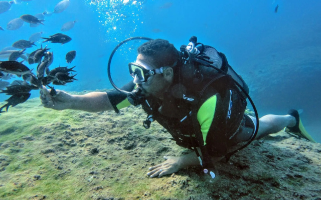 Akra Antalya
