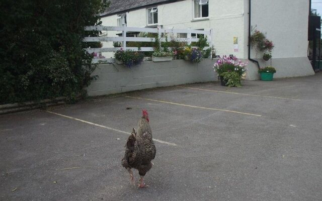 New Farm Bed And Breakfast