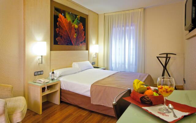 Hotel Condes de Haro