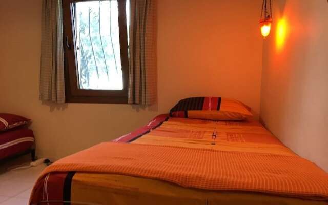 BO084 by Villaofsummer