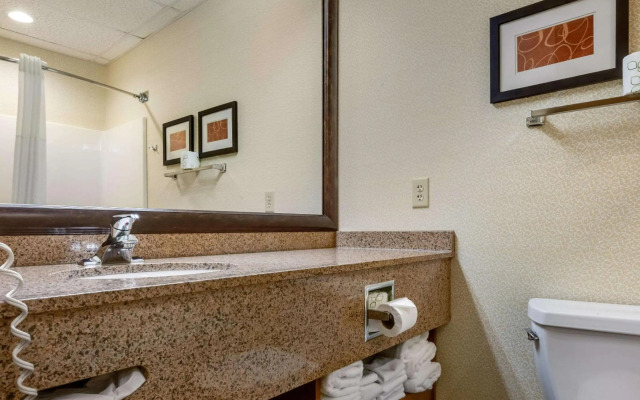 Comfort Suites Hotel and Conference Center
