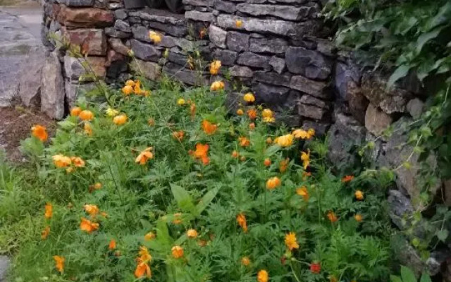 Xiangyunge Holiday Hotel