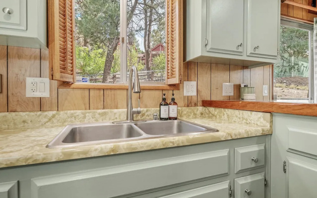 Big Bear Moose House