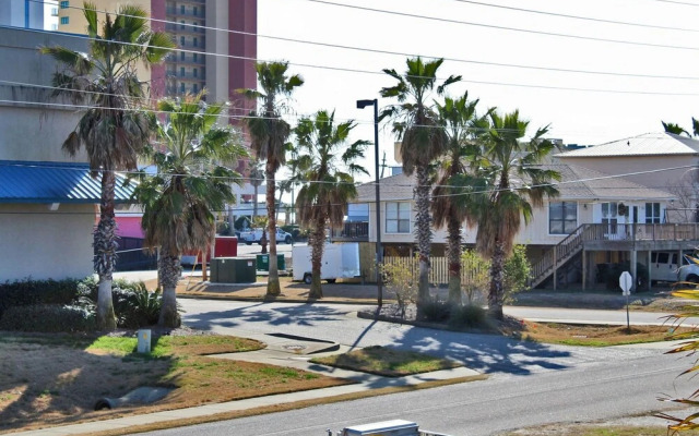 Sea Walley by Youngs Suncoast