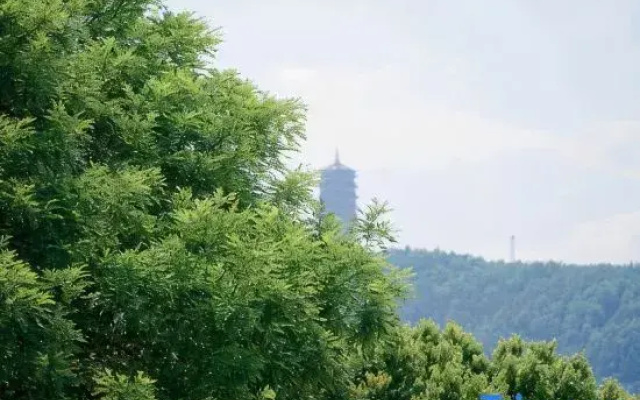 Pinyou Smart Hotel (Qujing Nancheng Store)