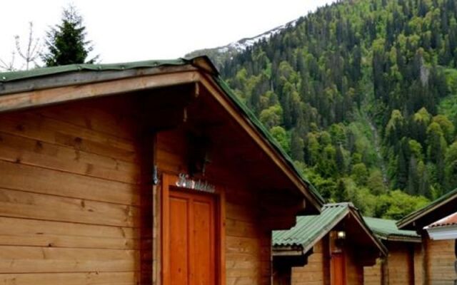Ayder Kardelen Bungalov