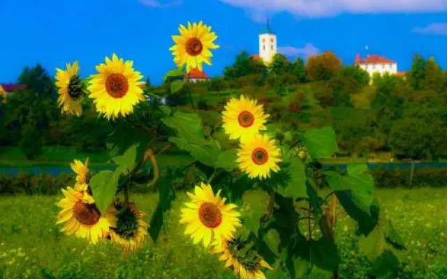 Hotel-Restaurant Alpha