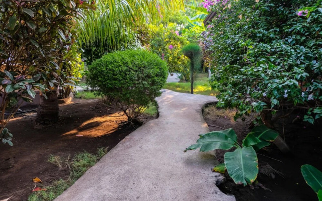 OYO 1134 Nelly Homestay