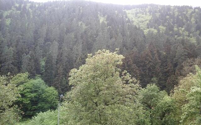 Iraklis Homestay